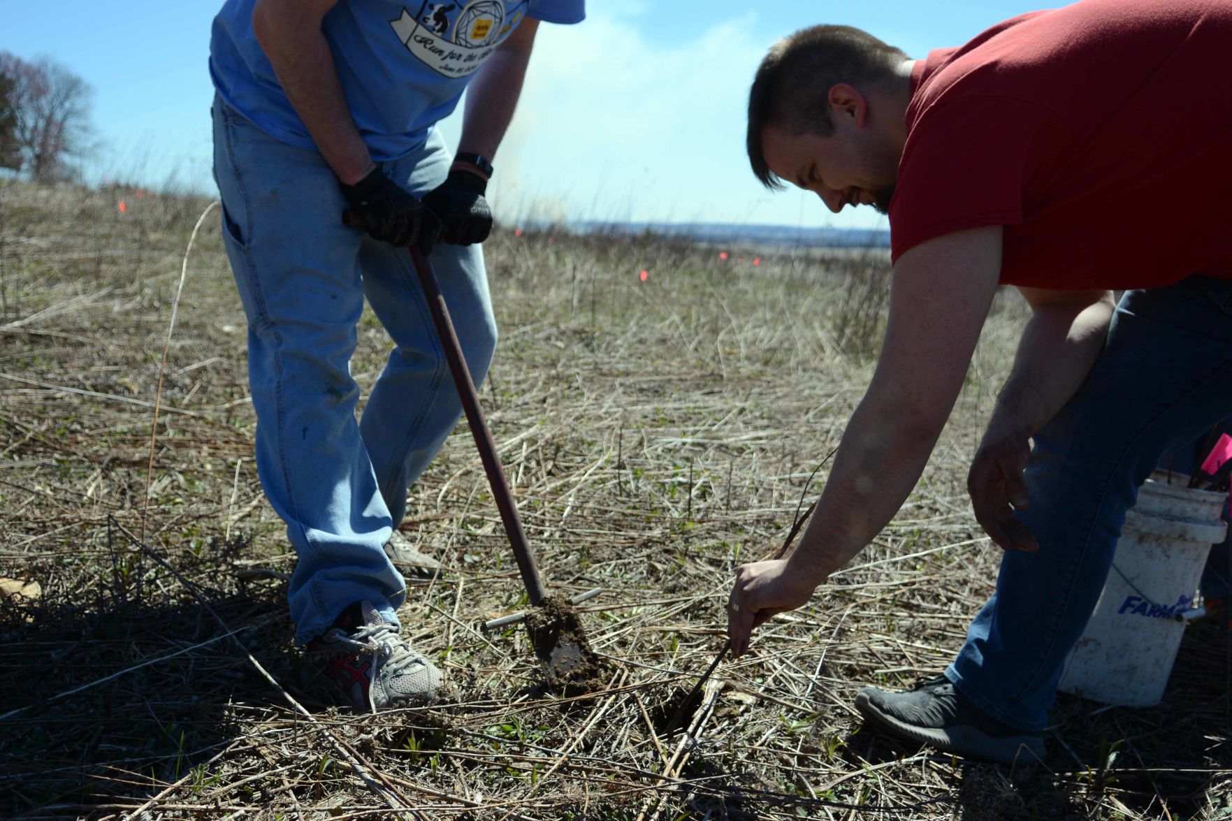 Earth Day tree planting in Baraboo Hills, April 20